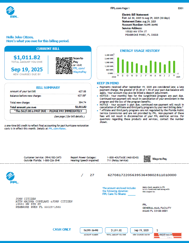 USA FPL utility bill template in Word and PDF formats, version 4